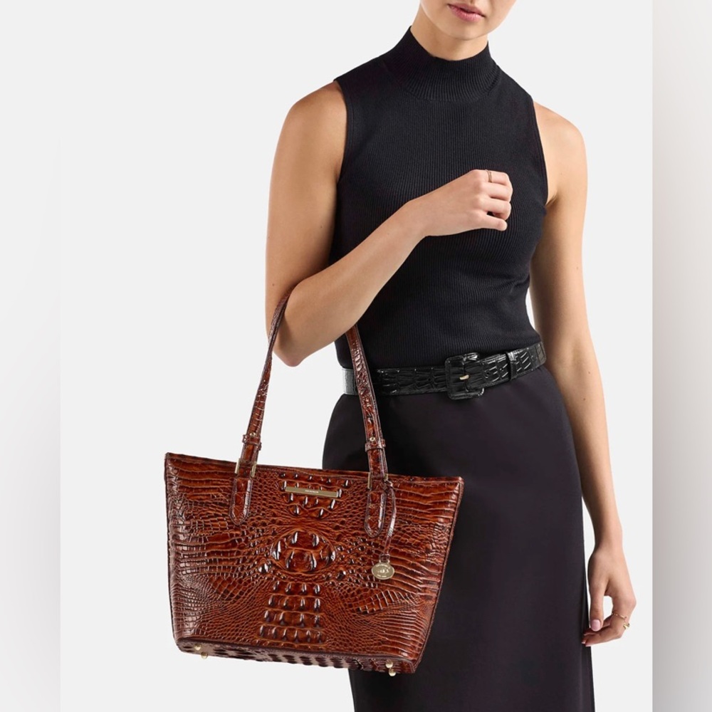 Brahmin Pecan Melbourne Tote w/ Gold Hardware EUC w/Dusty & New Brahmin Pen 🖊
